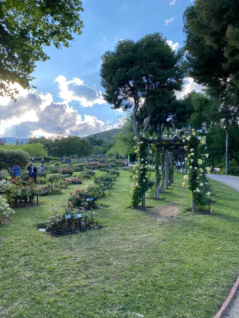 Parc de Cervantes marriage proposal setup view 1 in Barcelona
